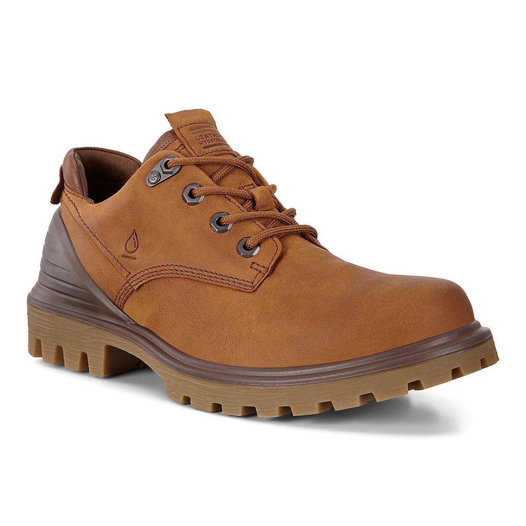 Chaussure Outdoor Ecco Tredtray Homme Marron 0183-OQXRD